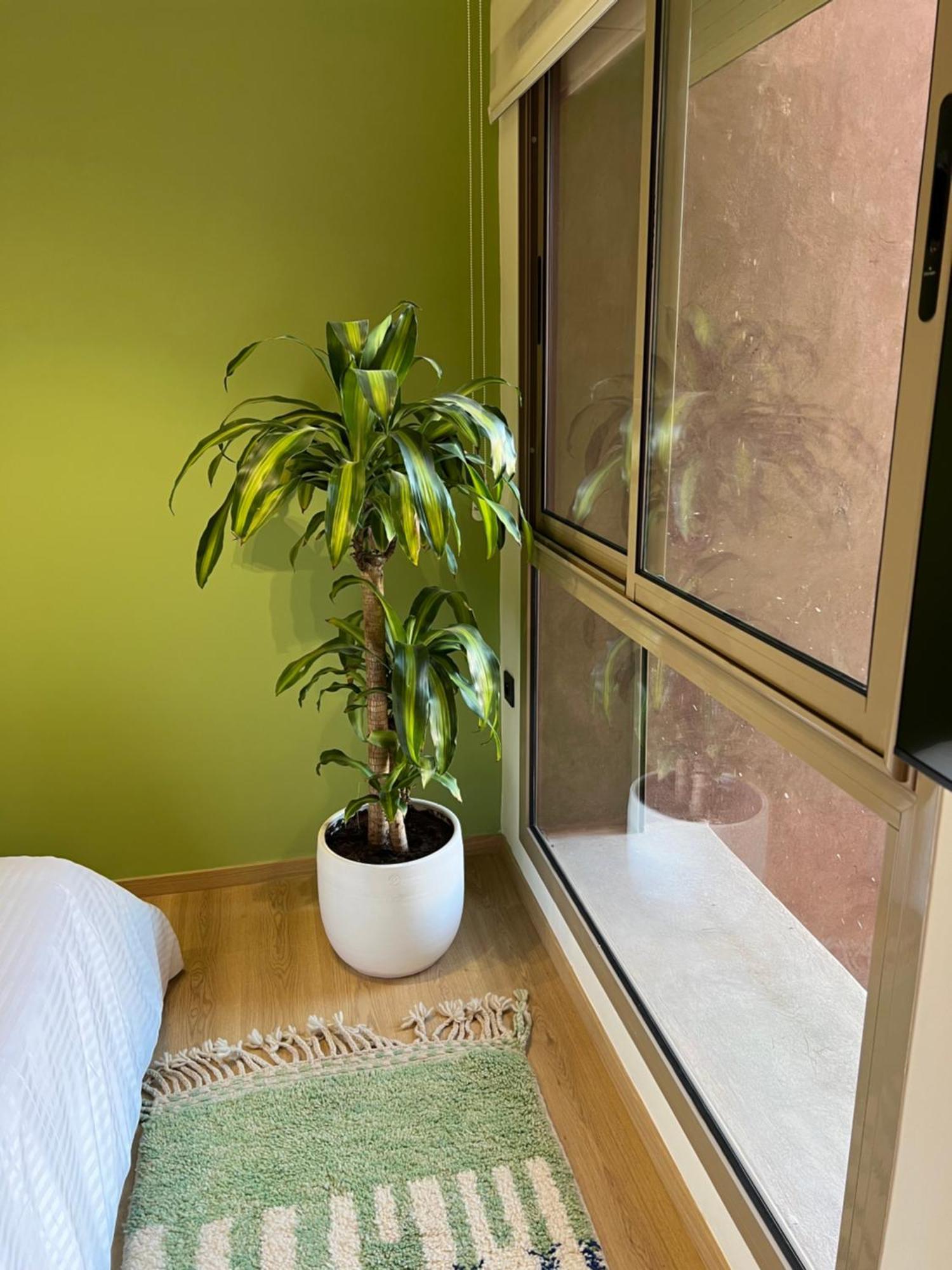 Luxe Appartement A Louer Pour Les Familles Marrakesh Esterno foto